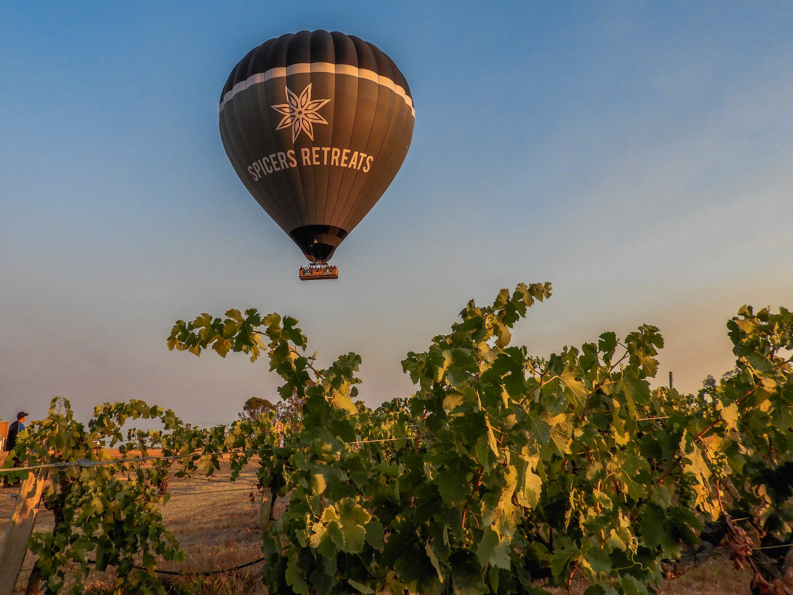 spicers retreats hot air balloon flying over a vineyard